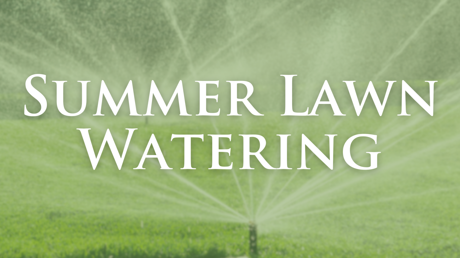 2024 Summer Lawn Watering