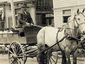 Man on Horse Drawn Carriage