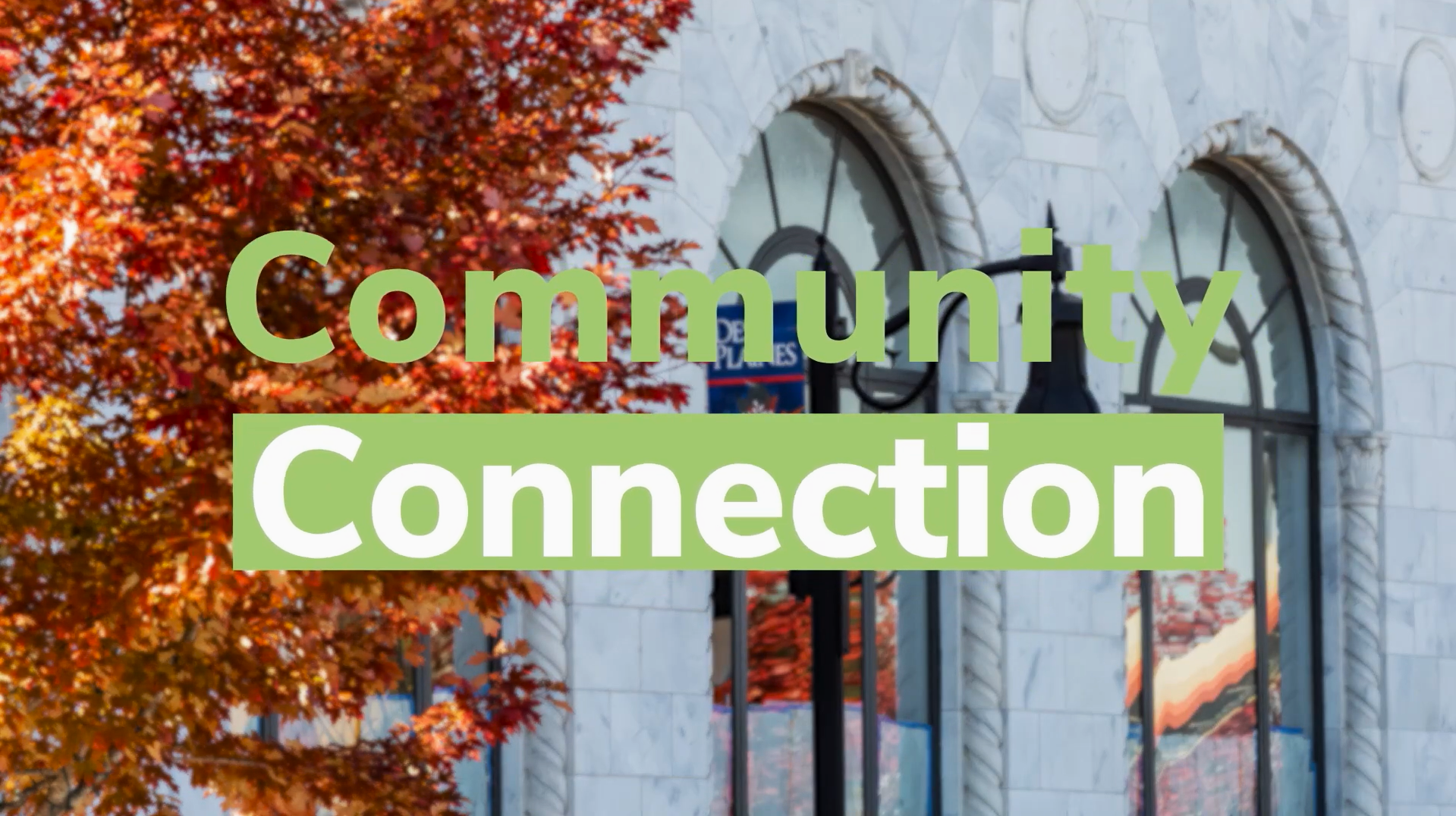 community connection